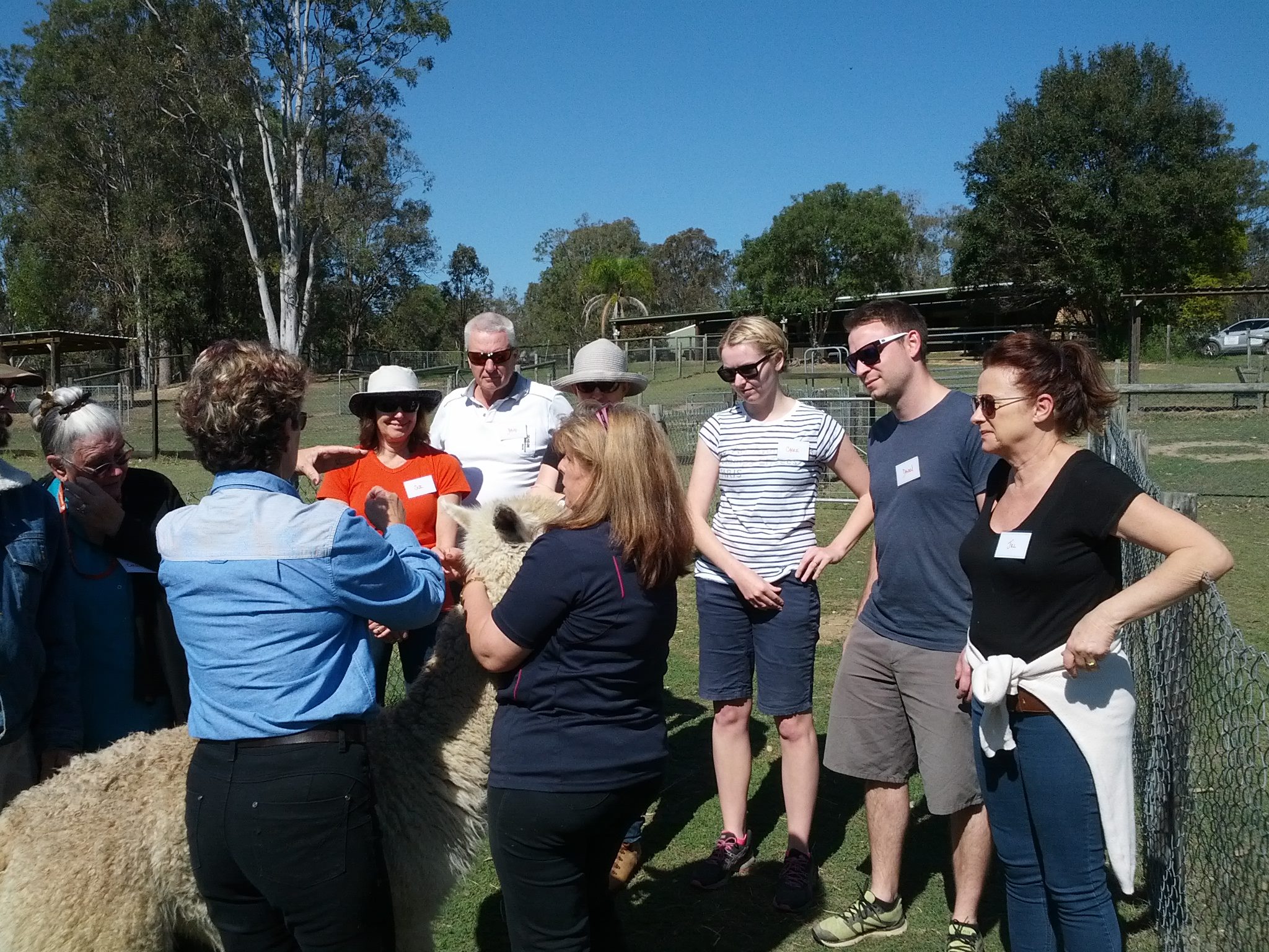 Introduction to Alpacas Workshop - SQNNSW - Australian Alpaca Association